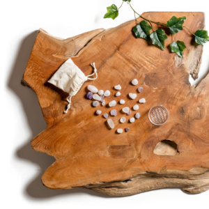 A hand holds the Lotus Vita Crystal Holder, a clear compartment filled with rose quartz, amethyst, and rock crystal gemstones for the ENYA water filter pitcher.