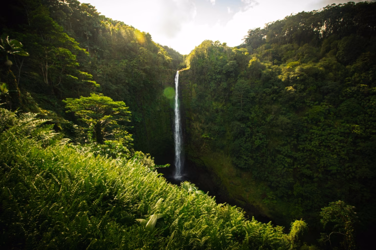 A majestic waterfall cascades through a lush, green rainforest, symbolizing the pure, natural water that inspires Lotus Vita products.